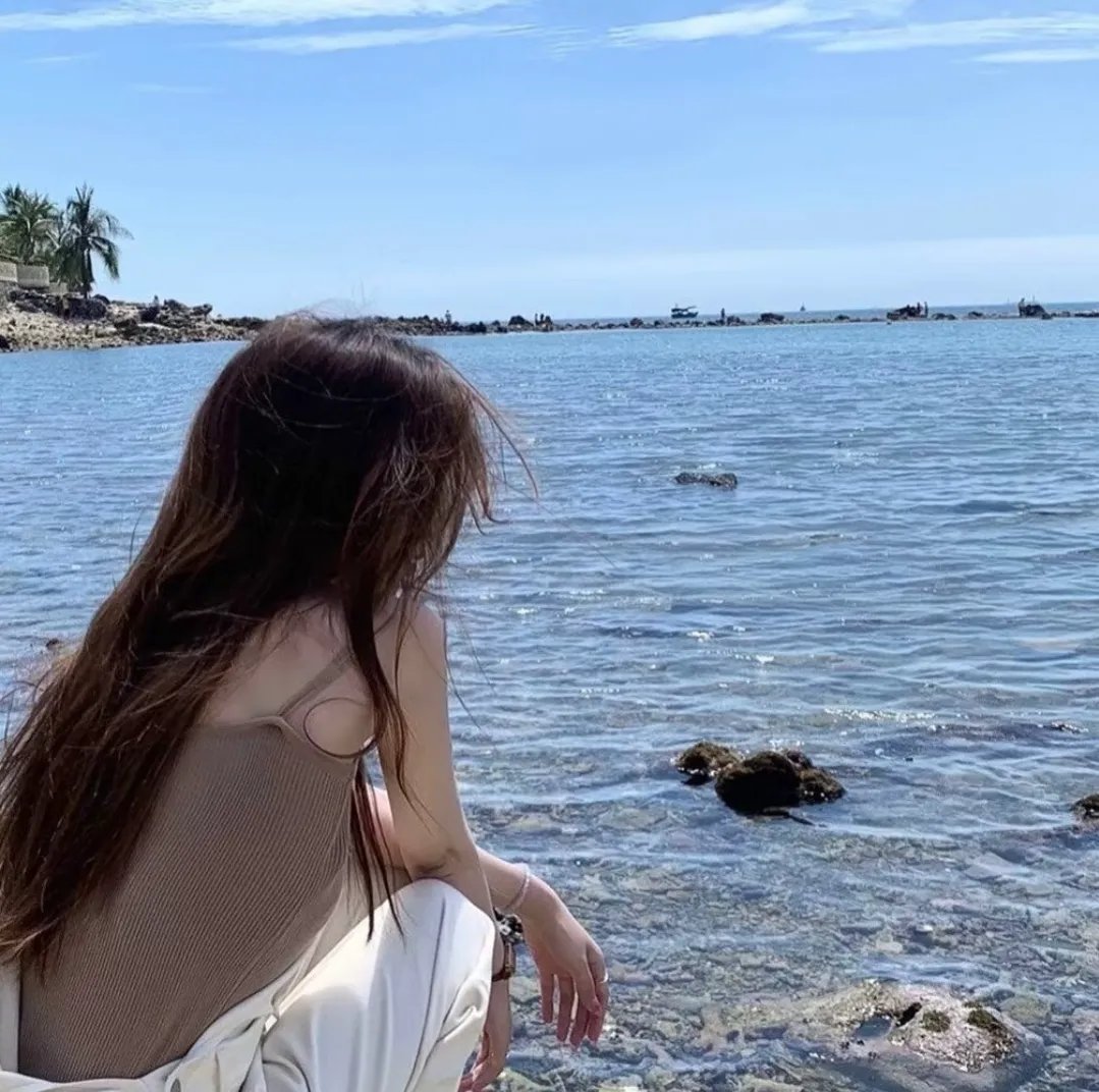 海底小纵队 第八季