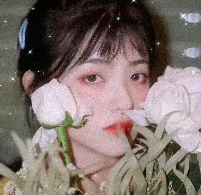 叱咤风流